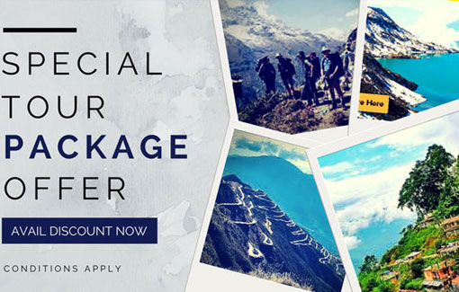 Tour Packages Services